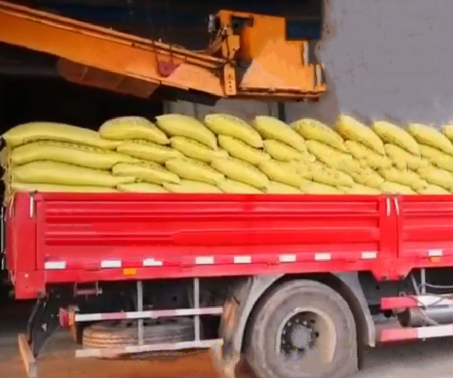 自动装车机 码垛装车机